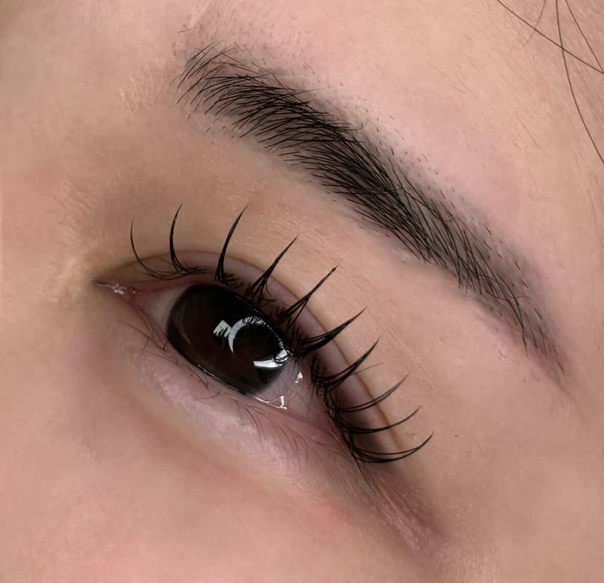 Lash Extension Close-up